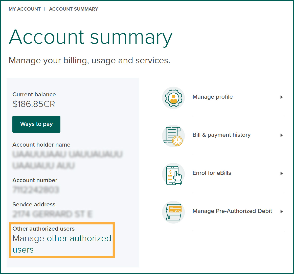 Account Summary page showing the “Manage other authorized users” link under the Other authorized users section.