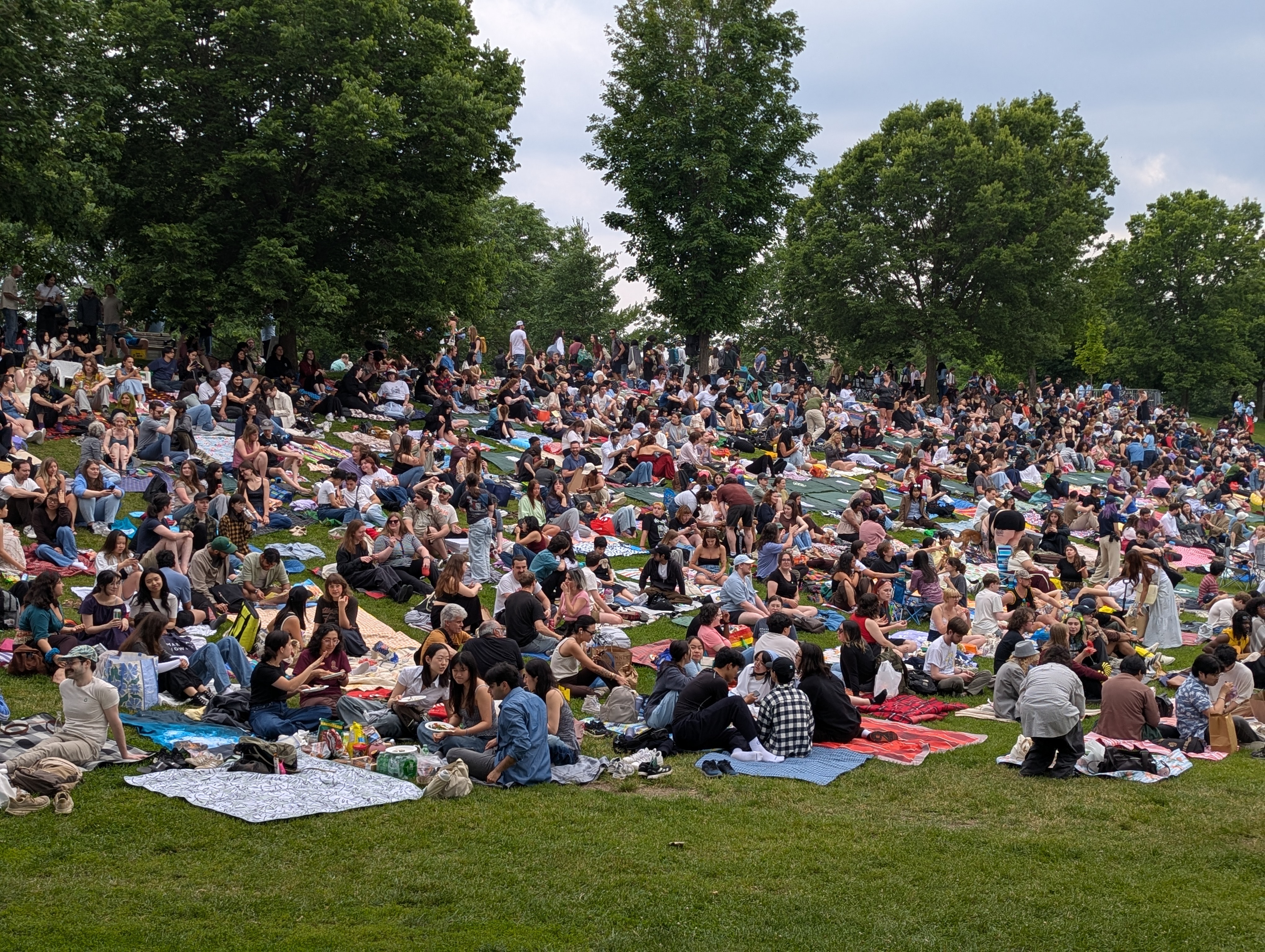Torontonians gathered together outside enjoying a movie at Toronto Outdoor Picture Show.