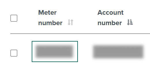 My Usage screenshot highlighting the link to check meter details.